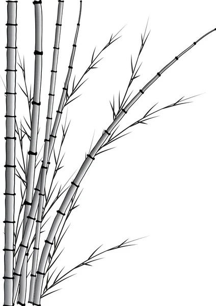 Plantes Bambou Plat Coloré Isolé Sur Fond Blanc Vecteur Illustration — Image vectorielle