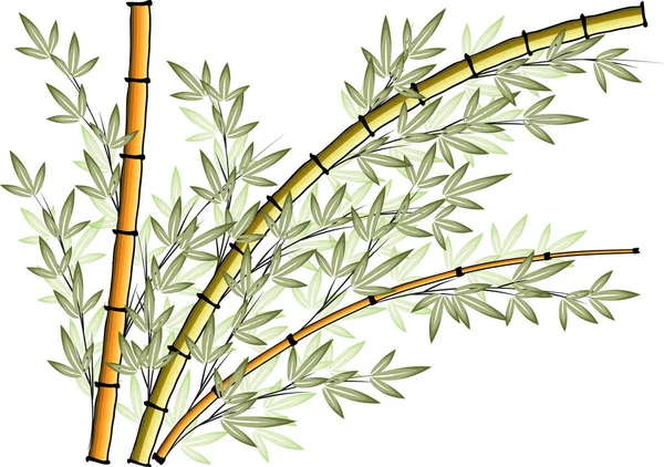 Kleurrijke Platte Bamboe Planten Geïsoleerd Witte Achtergrond Vector Illustratie — Stockvector