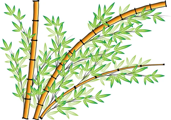 Bunte Flache Bambuspflanzen Isoliert Auf Weißem Hintergrund Vektor Illustration — Stockvektor