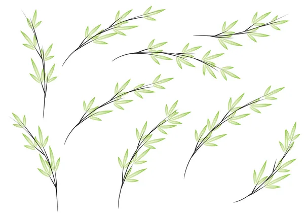 Kleurrijke Platte Bamboe Planten Geïsoleerd Witte Achtergrond Vector Illustratie — Stockvector