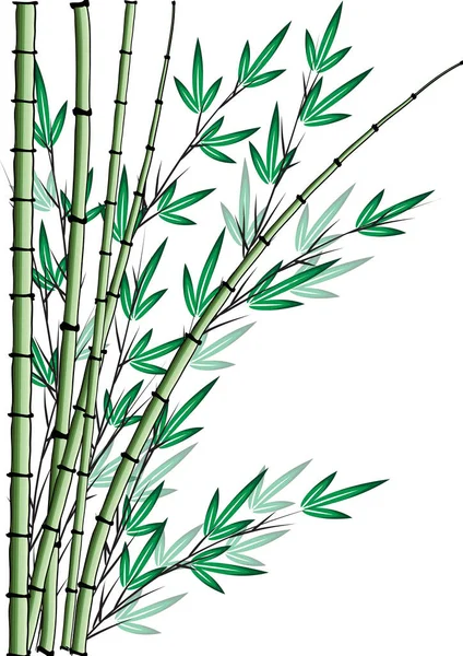 Coloridas Plantas Planas Bambú Aisladas Sobre Fondo Blanco Vector Ilustración — Archivo Imágenes Vectoriales