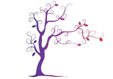 Pembe çiçekli ağaç