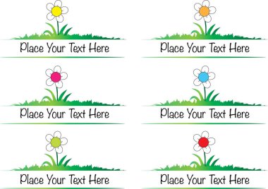 Bir dizi yaz çiçeğinin vektör çizimi