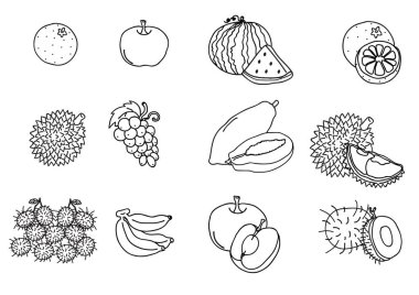 renksiz meyvelerin vektör kümesi