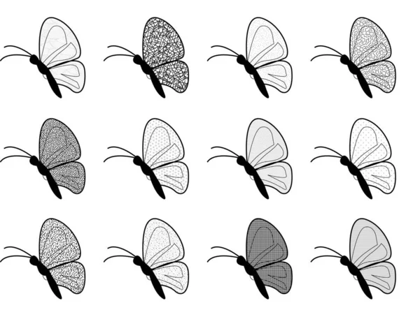 Uppsättning Olika Fjärilar Vektor Illustration — Stock vektor