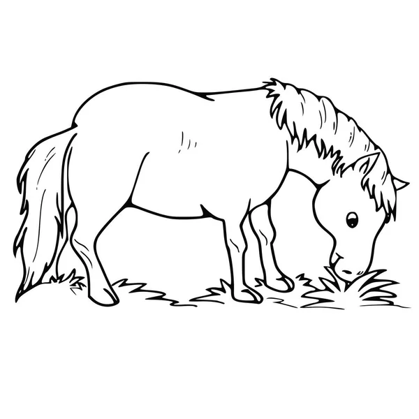 Vektorová Ilustrace Siluety Koně — Stockový vektor