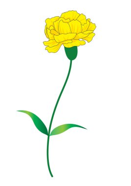 Bir çiçeğin vektör illüstrasyonu