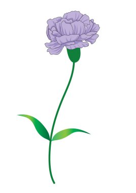 Pembe bir çiçeğin vektör çizimi