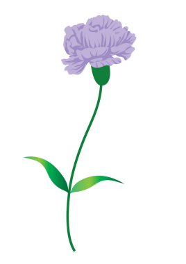 Pembe bir çiçeğin vektör çizimi