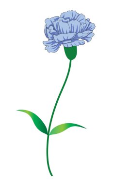 Bir çiçeğin vektör illüstrasyonu