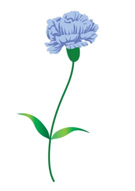 Bir çiçeğin vektör illüstrasyonu