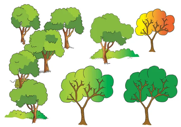 Conjunto Diferentes Árboles Dibujos Animados Parque — Vector de stock
