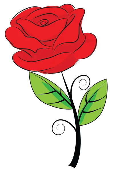 Vector Illustration Red Rose — Stock Vector