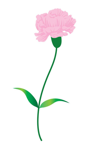 vector illustration of pink flowers