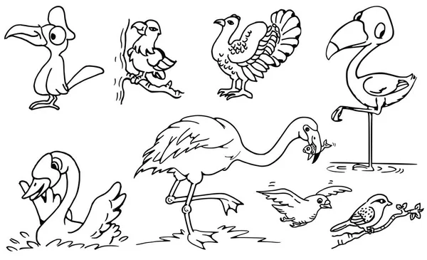 Vögel Vektor Illustration Hintergrund — Stockvektor