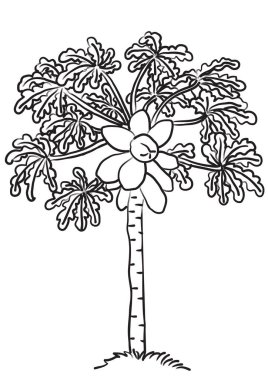 Beyaz arkaplan, vektör, illüstrasyon üzerine meyveli çizgi film tropikal ağacı çizimi