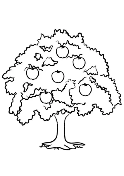 Schets Van Cartoon Appelboom Met Vruchten Geïsoleerd Witte Achtergrond Vector — Stockvector