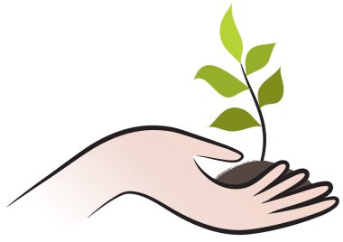 Çiçek tutan bir el