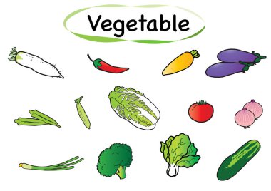 sebze ve yiyecek vektör kümesi