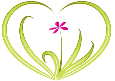 Bir kalbin vektör illüstrasyonu