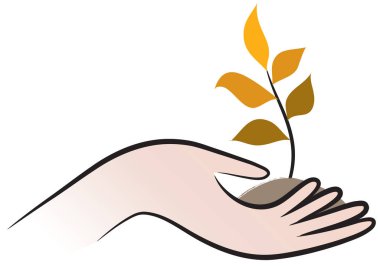 Bir bitkiyi tutan el.