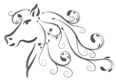 Bir dizi kaligrafik tasarım elemanının vektör çizimi