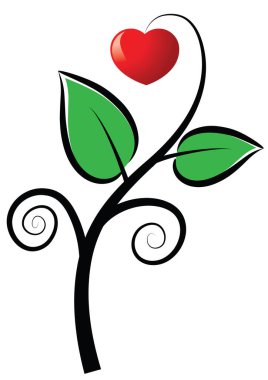 Bir kalbin vektör illüstrasyonu