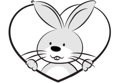 Fiyonklu şirin bir tavşan.