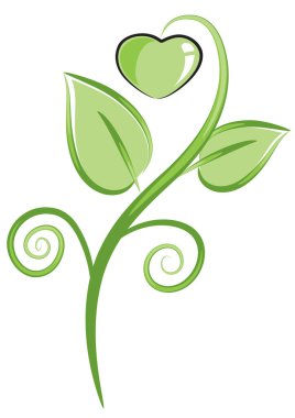 Yapraklı yeşil ağaç