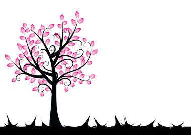 Beyaz arkaplanda izole edilmiş alanda büyüyen ağaç