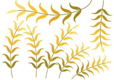 Altın yaprakların vektör çizimi