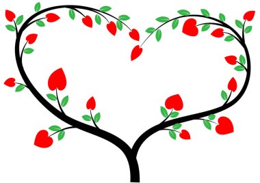 Bir kalbin vektör illüstrasyonu