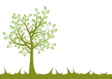 Beyaz arkaplanda izole edilmiş alanda büyüyen ağaç