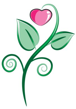 Bir kalbin vektör illüstrasyonu