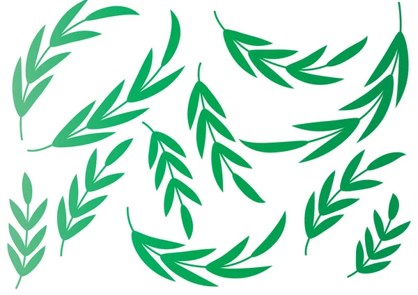 Διανυσματική Απεικόνιση Πράσινων Φύλλων — Διανυσματικό Αρχείο