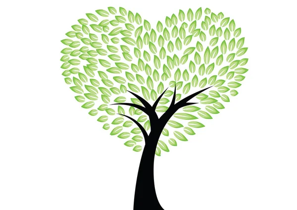 Beyaz arkaplanda yeşil yapraklı ağaç