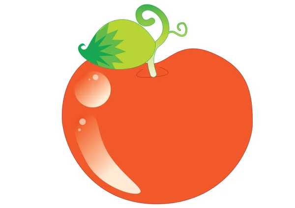 Vektorillustration Einer Cartoon Frischen Tomate — Stockvektor