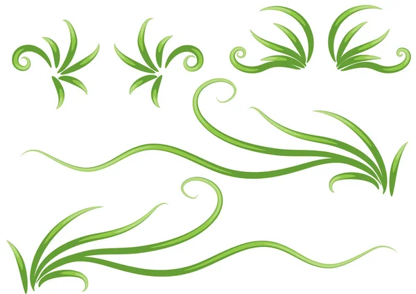 Vector Illustration Set Green Leaves — Stock Vector