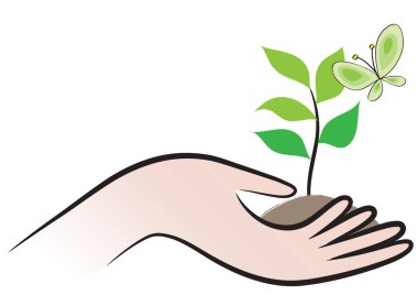 Bir kadının elinde bir bitkiyi tutan el.