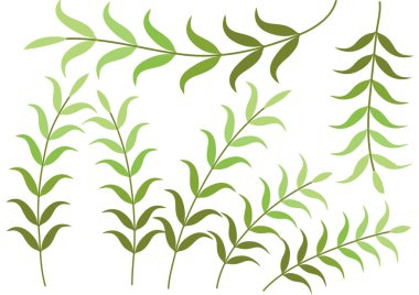 Yeşil yaprakların vektör çizimi