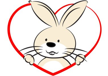 Fiyonklu şirin bir tavşan.