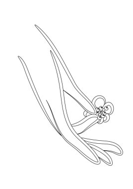 Çiçekli bir elin vektör illüstrasyonu 