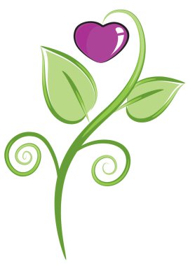 Bir kalbin vektör illüstrasyonu