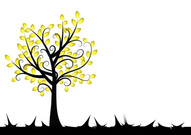 Beyaz arkaplanda izole edilmiş alanda büyüyen ağaç