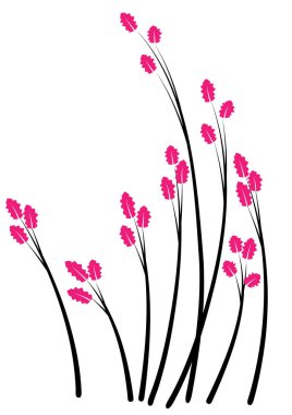 Bir çiçeğin vektör illüstrasyonu