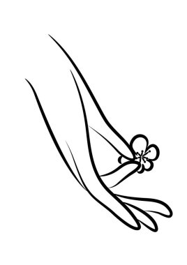 Beyaz arka planda çiçek tutan el. 