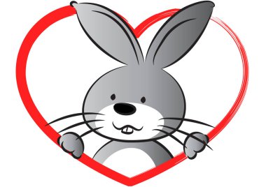 Fiyonklu şirin bir tavşan.