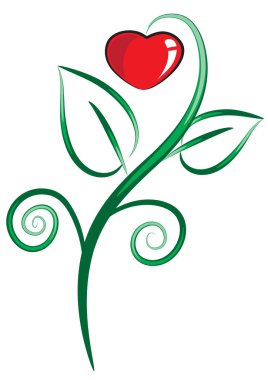 Bir kalbin vektör illüstrasyonu