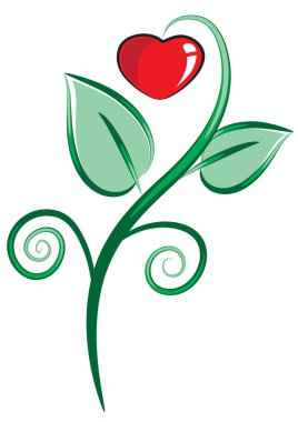 Bir kalbin vektör illüstrasyonu