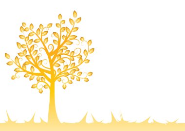 Beyaz arkaplanda izole edilmiş alanda büyüyen ağaç